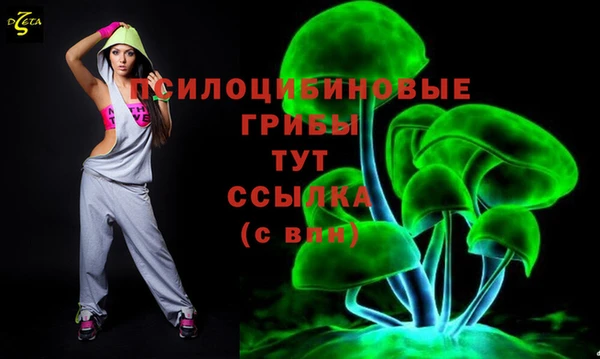 spice Баксан