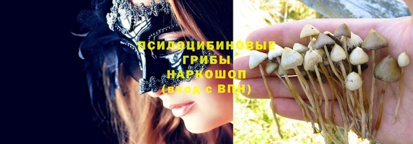 spice Баксан