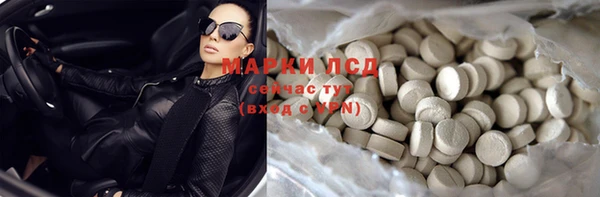 прущие грибы Армянск