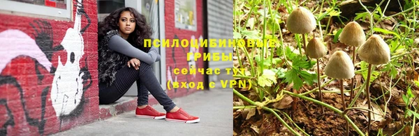а пвп мука Балабаново