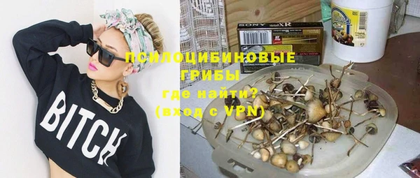 spice Баксан